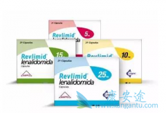 ���ǶȰ���ҩ�����������Ӧ֢�͸��������е�����