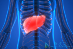 ��Ī¬����(ramucirumab)�ܷ��������ڸΰ���