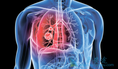 ��������/����������ٴ�������ʤ��������