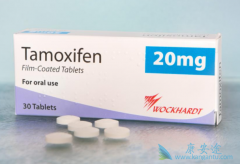 ��Ī����(Nolvadex)����Ч��CD36����ˮƽӰ��