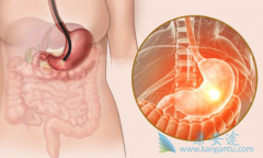 �����߼������Ƽ���������θ���ܻ��ã�