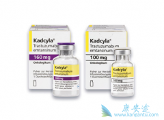 �����鵥����̹����TDM-1���Ƿǳ����������ٰ���HER2ҩ��