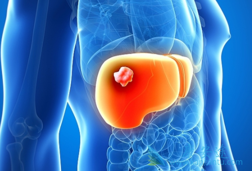 �ΰ����Ʒ���