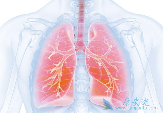 ��Сϸ���ΰ�