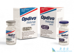 PD-1���Ƽ�Opdivo�����䵥��������ʳ�ܰ����ߵ���Ч��ô����