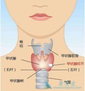 ��״������֢״�����Ʒ���������Щ��