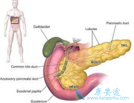 ���ٰ�����