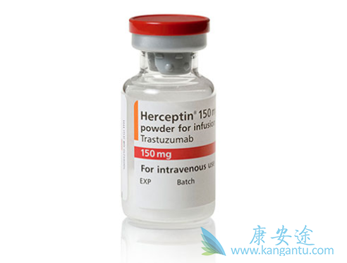 HER2�������ٰ�