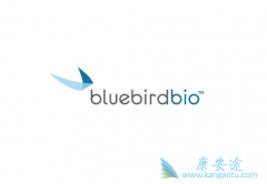 ���к�ƶѪ���߻����Ʒ�LentiGlobin�ļ۸��Ŷ���Ǯ��