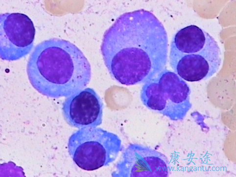 �෢�Թ�����