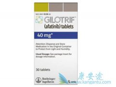 �ڶ���EGFR-TKI����ҩ��������(Afatinib)���ص㼰Ӧ��