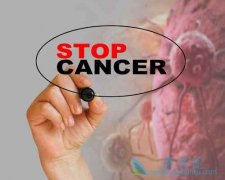 ���ֻ��������ٰ��ķ������������