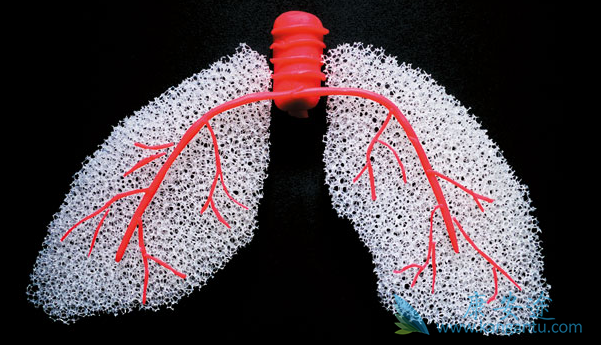 ����ά��