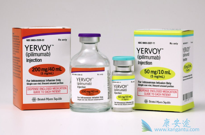 ��ƥľ����