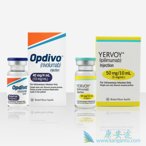 ��ƥľ����