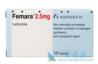 ������Ƭ