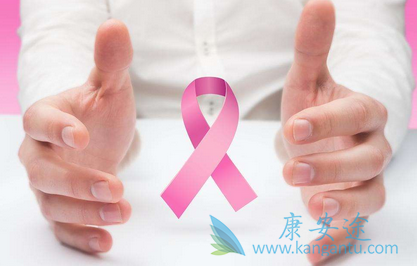 ������Ƭ