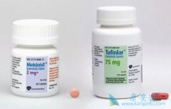 ������������޷�����ʹ����BRAFͻ���ɫ�������߻���