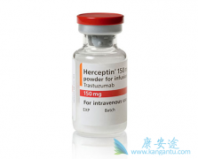 HER2���Ե����ٰ�����ʹ�������鵥��/����͡���Ƶ�Ч����Σ�