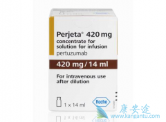 �����鵥���Ǽ������鵥�������һ����HER2ҩ��