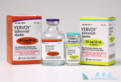 CTLA-4������PD-1������Ŀǰ�����İ�֢��������ҩ��