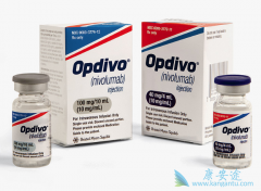ŷ���֣�Opdivo����Զ෢����ʳ�ܰ����ٴ�����Ч����ô����