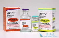 ��ƥľ�������������ȵ��������Ʒ���ŷ����׼������ϸ����