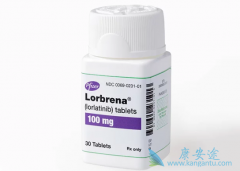 �������ᣨLorbrena���ǻ������еĵ�����ALK���Ƽ�