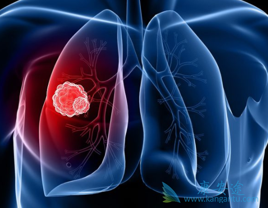 �ΰ�egfr�е�