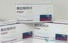 ���˰������ỹ����ЩPARP���Ƽ������������ٰ���Ч��