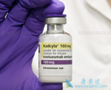 ���ٰ�����ȫ������ҩ��T-DM1��Kadcyla��������Ч����ô����