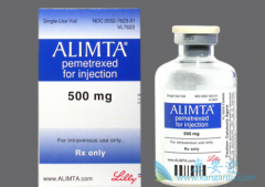 TS�ͱ���ķΰ����߸��ܴ���������(alimta)�л���