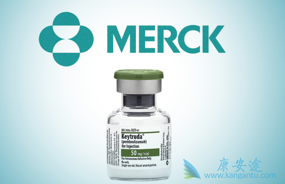 ����ͷ����