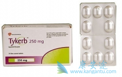 ����͡�������Ƶ�HER1�����ٰ�������������