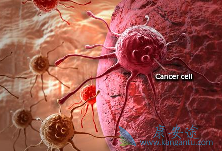 �ΰ�����