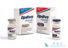 PD-1��������ҩ��Opdivo��nivolumab���������ƽ�ֱ������