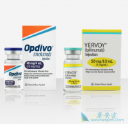 ��������ҩ����Opdivo������ALK���Ƽ�����EGFR���Ƽ�������