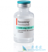 Atezolizumab���ϱ�׼����һ�����ƹ㷺��Сϸ���ΰ�����Ч��