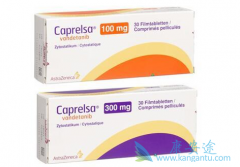 ��������(Caprelsa)��������ϸ���Ļ���е�����Щ��