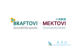 Braftovi����Mektovi��Ӣ���������ƶ��Ժ�ɫ��������