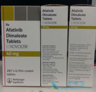 ��������(xovoltib)����ʽ��ҩ��HER2���Է��ٰ�������Ч