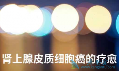 ����������Ƥ�ʰ�����Ч����������Щ��