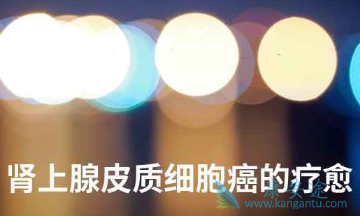 ������Ƥ�ʰ�