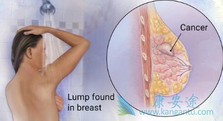 ���������ٰ�