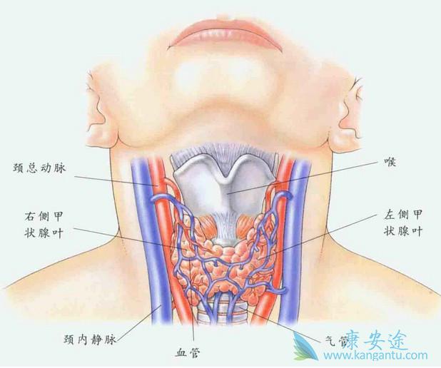 ��״����