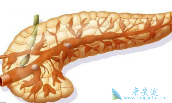 ���ٰ�����