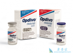 PD-1/PD-L1���Ƽ����˰�֢�����������Щ������