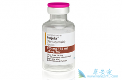 �����鵥��������ʹHER2�����������ٰ�˫�������Ƴ�Ϊ����