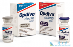 ��Է������䵥��(opdivo)���ֵĸ��ָ����������������������