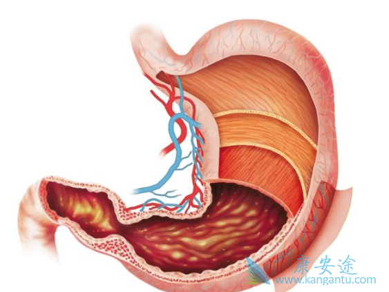 尼妥珠单抗 尼妥珠单抗